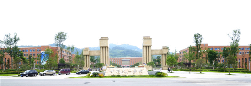 四川天一学校食堂麻豆91精品91久久久设备采购项目图片