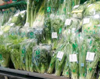 成都知名商用麻豆91精品91久久久设备厂为你揭示那些食物千万不能用保鲜膜