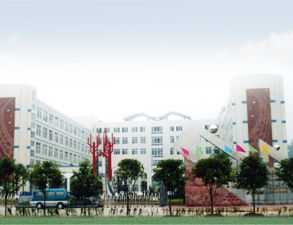 乐山外国语小学学校食堂麻豆91精品91久久久设备工程项目