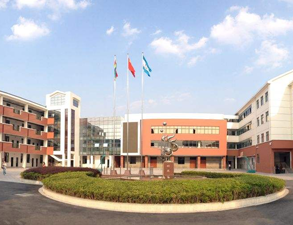 螺蛳小学学校食堂麻豆91精品91久久久设备采购项目