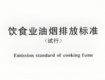 酒店麻豆91精品91久久久设备生产厂家和聊聊国家对餐饮行业油烟排放的要求